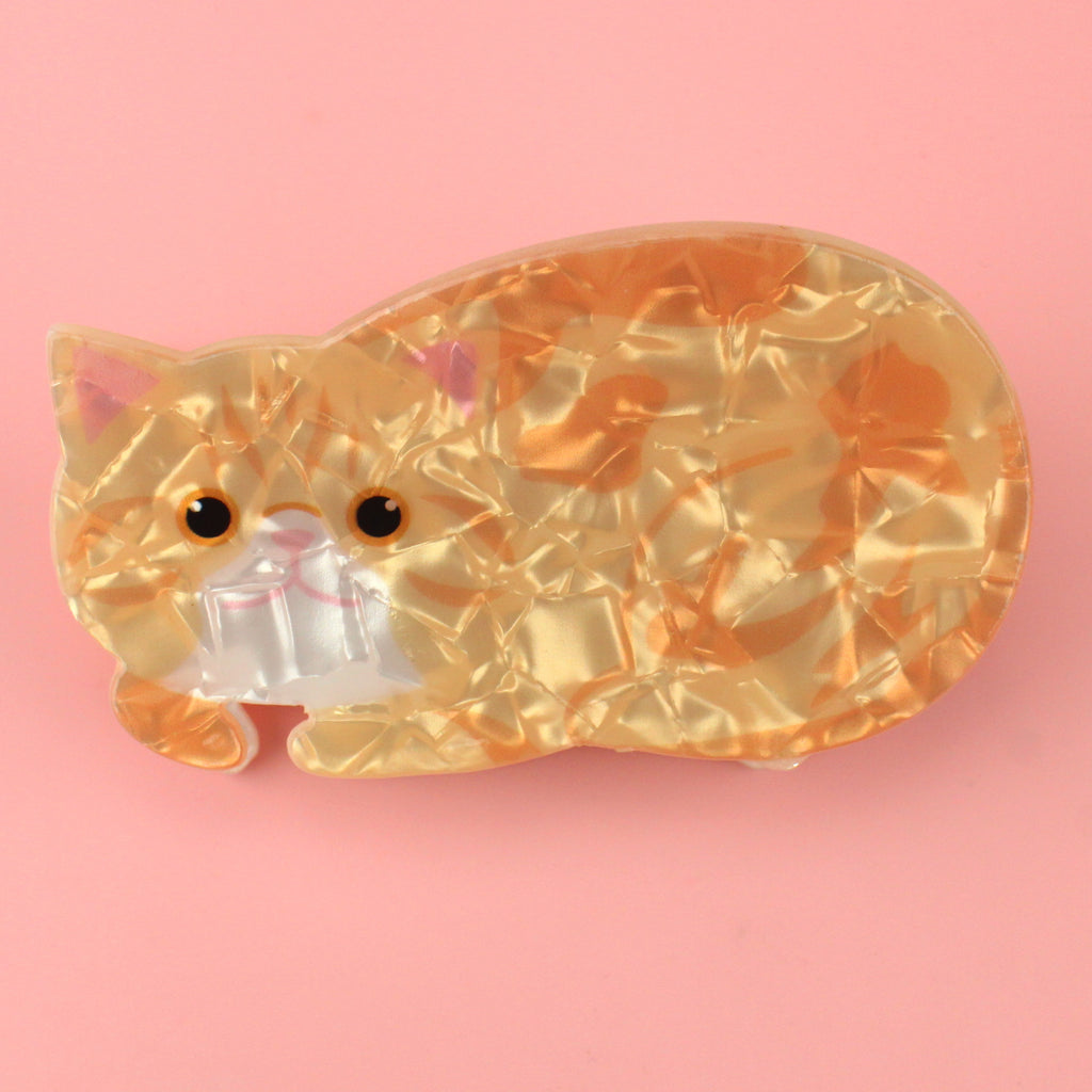 Ginger cat acrylic claw clip