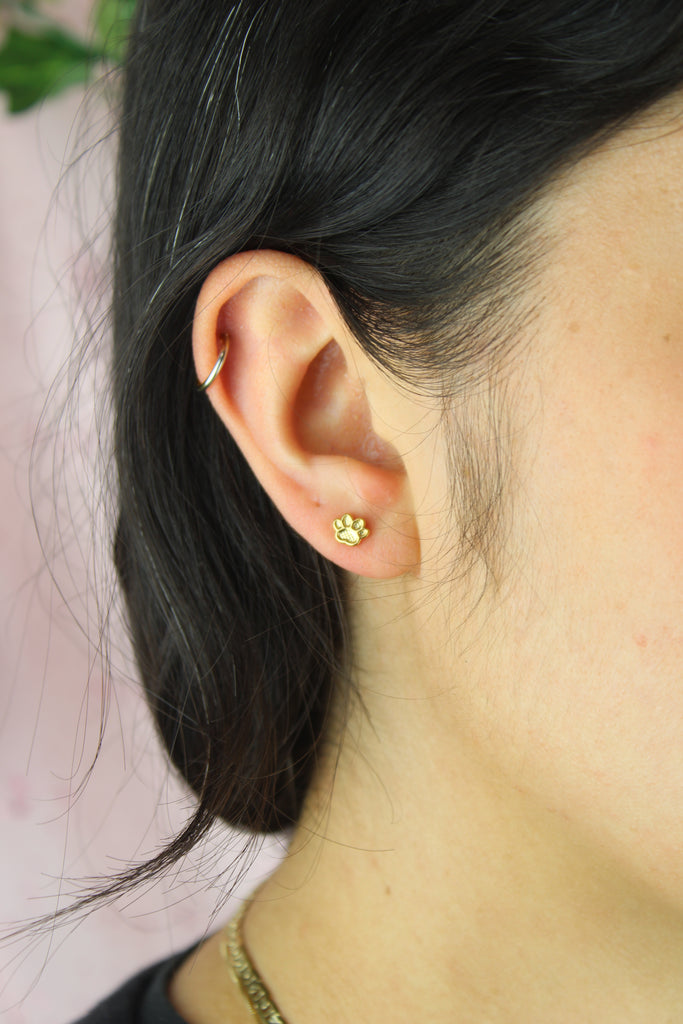Pawfect Stud Earrings - Gold Plated - Sour Cherry
