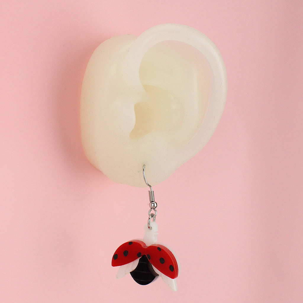Ear wearing Acrylic charms showing a ladybird spreading its wings on stainless steel earwires