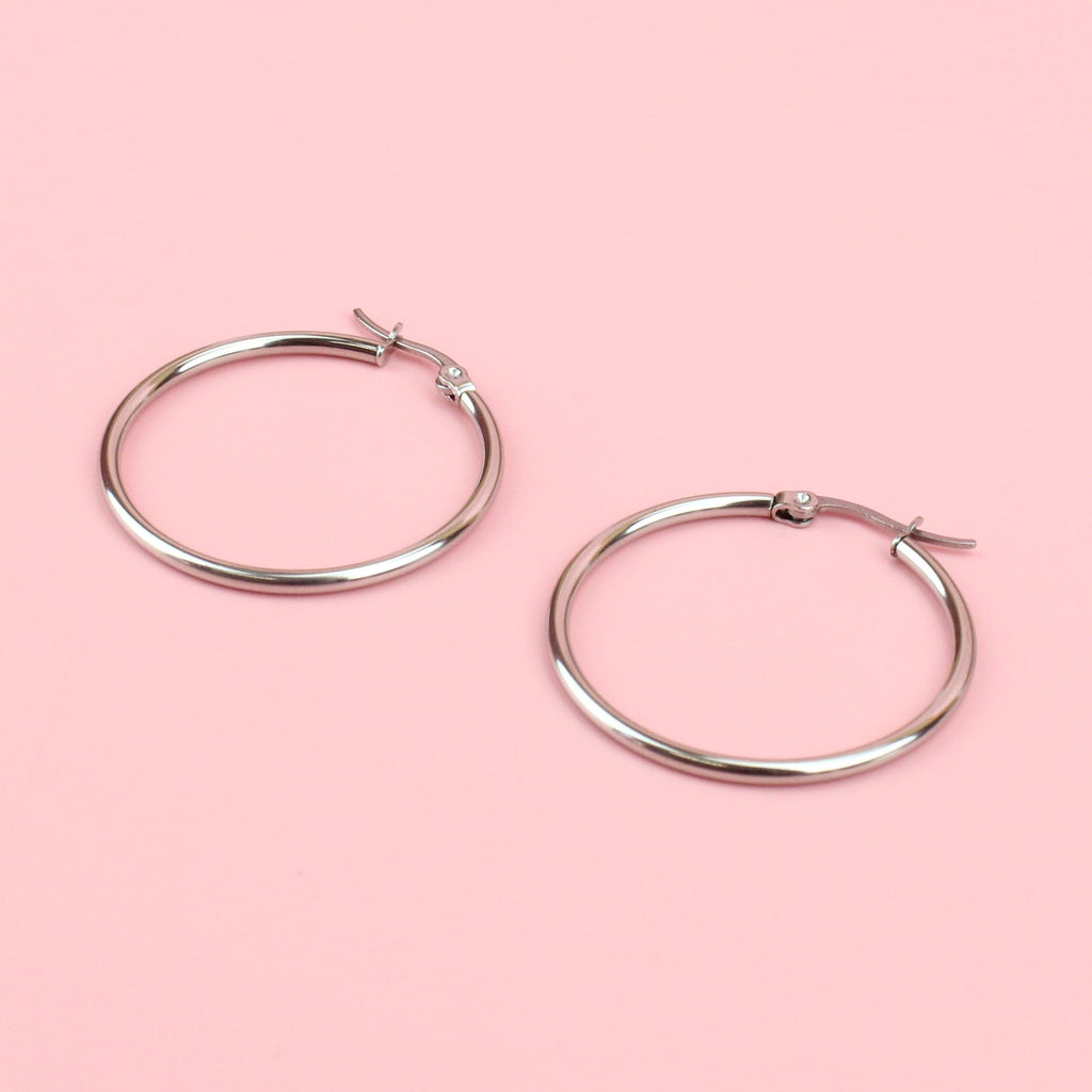 Stainless steel hoops with a hinge on the top
