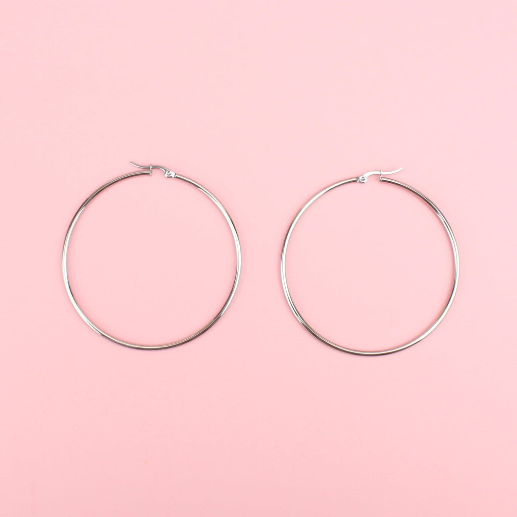 63mm stainless steel hoops with a hinge on the top