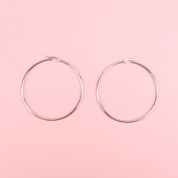 63mm stainless steel hoops with a hinge on the top
