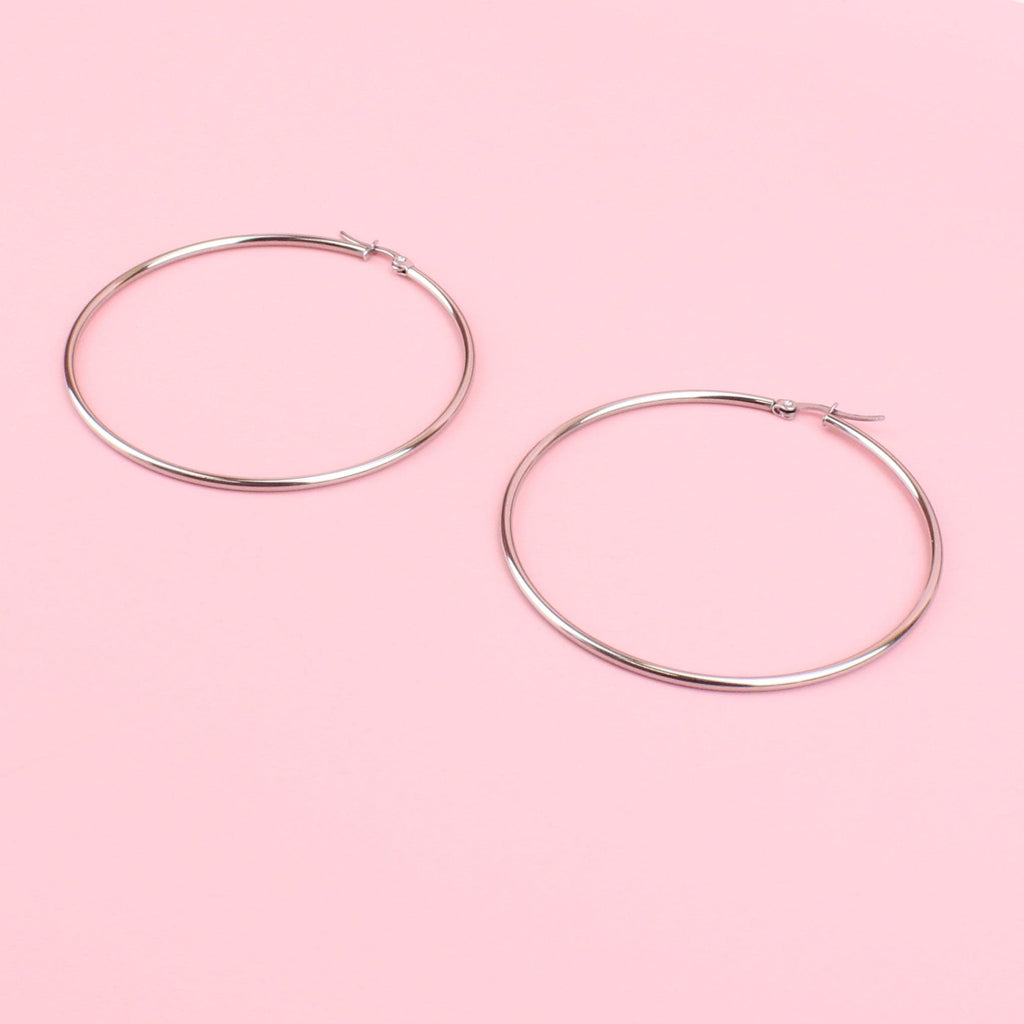 63mm stainless steel hoops with a hinge on the top