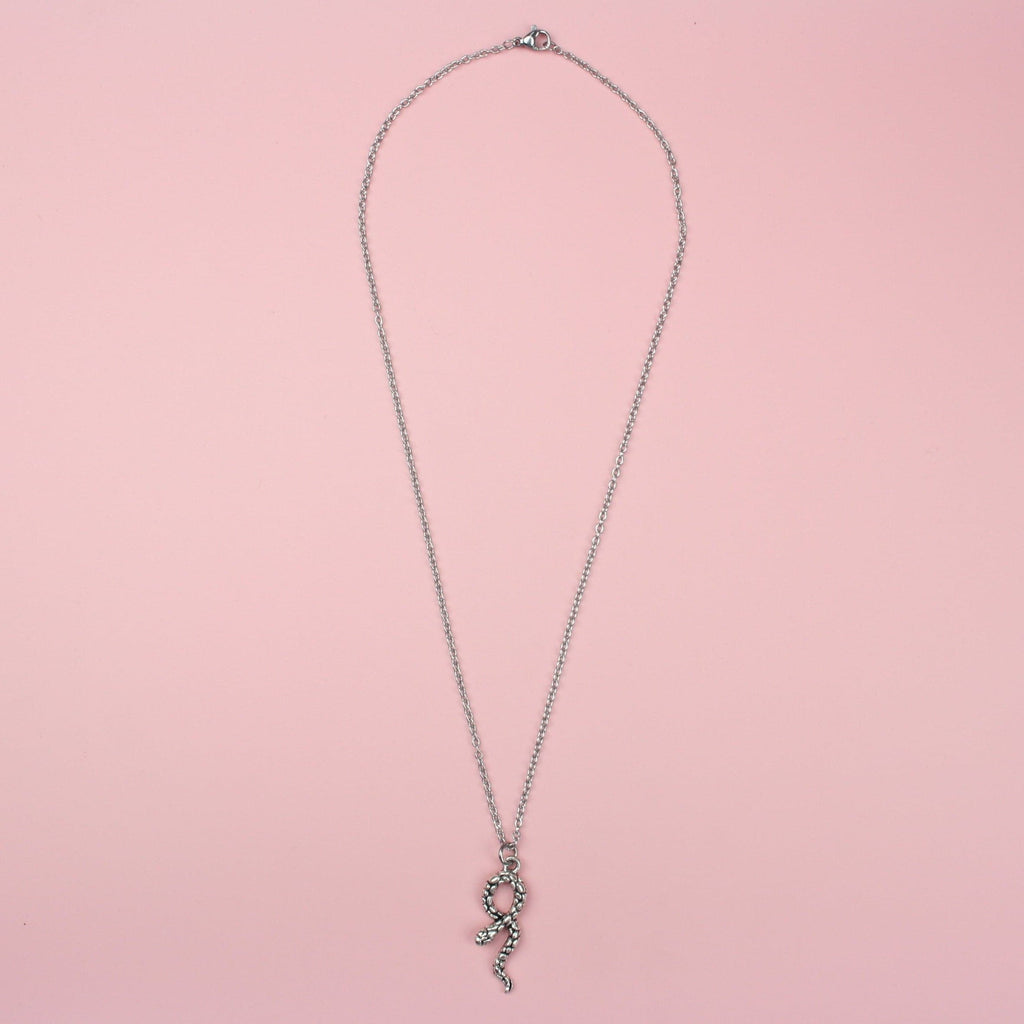 Silver Plated Snake Charm on a 18” Stainless Steel Chain