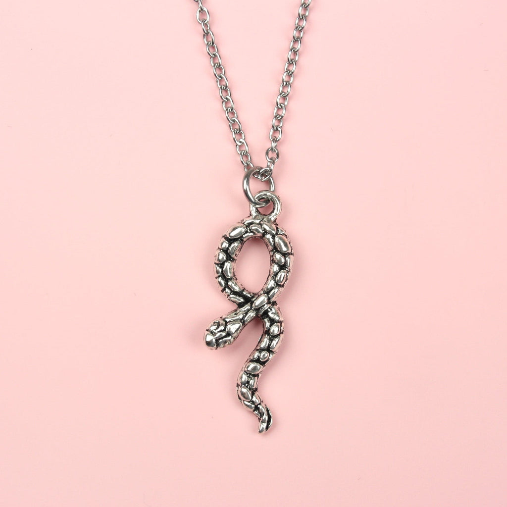 Silver Plated Snake Charm on a 18” Stainless Steel Chain