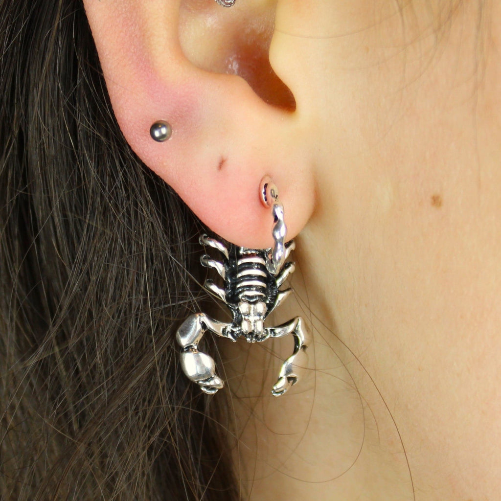 Scorpion 2 Piece Stud Earrings - Sour Cherry